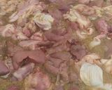 Foto langkah ke 5 dari resep Ati ampela kecap.
