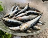 Une image de l'étape 4 de 🌶️Roulé sardines recette de grand mère🫍🐟🧄.