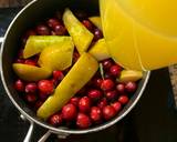 Cranberry SauceWith ginger, pear & spices recipe step 1 photo