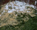 Foto del paso 5 de la receta: Kebbe de vegetales y nuez