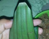 Foto langkah ke 8 dari resep Kue mendut aka bugis ketan dg tutorial bungkus daun.