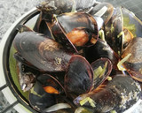 Foto del paso 9 de la receta: Mejillones a la cerveza