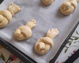 Foto del passaggio 8 della ricetta Colombine di pane