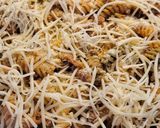 Foto del paso 9 de la receta Pasta tricolor gratinada