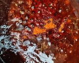आलू बुखारा की चटनी (Plum Chutney) रेसिपी चरण 7 फोटो