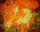 Foto del paso 1 de la receta: Ensalada de repollo, zanahoria, manzana y pasas. Tipo Coleslaw