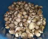 Foto langkah ke 2 dari resep Sop Kerang Kuah Kuning.