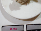 Tapas de empanadas con mix de semillas