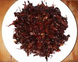 Foto langkah ke 5 dari resep Belalang Goreng Bacem (khas Gunungkidul).