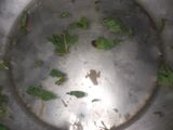 পুদিনা এলোভেরা শরবত (Pudina alovera shorbot recipe in Bengali)