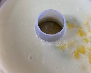 Puding Cendol Nangka - Step 3