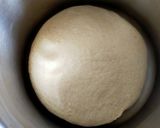 A picture of step 2 of Bread loaf (80APF+20WWF).