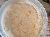 Pan de completo
