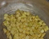Foto langkah ke 2 dari resep Deep Fries Apple Pie.