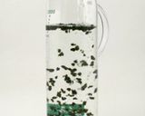 【樂客來】茶葉系列 - 冷泡茶 Cold Brew Tea的食譜步驟2照片