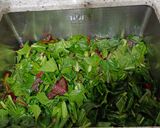 Foto del paso 3 de la receta: Acelgas esparragadas!