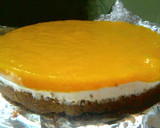 A picture of step 9 of Mango Float Version 2.0.