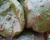 A picture of step 4 of Palak puri.