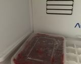 Foto langkah ke 2 dari resep Ice cream buah diet.