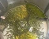 Foto del paso 1 de la receta Arroz blanco en Mambo