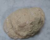 Foto del paso 2 de la receta: Bolitas de fraile y Pan de leche