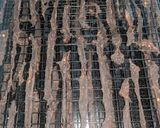 A picture of step 4 of Beef Jerky.