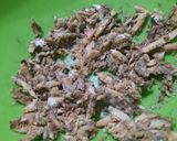 Foto del paso 2 de la receta: Empanadas de sardinas con 5 ingredientes
