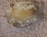 Foto del paso 1 de la receta: Pan de Harina Integral con Avena