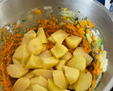 Foto del paso 3 de la receta: Crema de calabaza - robot de cocina Mambo