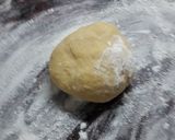 Foto del paso 4 de la receta: Lasagna con masa casera