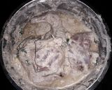 A picture of step 2 of Restaurant-Style Chicken Gravy | Main Course Side Dishes.