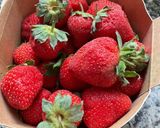 Une image de l'étape 2 de 🍥Fine tarte 🍓 fraises mascarpone🍶.