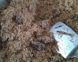 Foto langkah ke 4 dari resep Dendeng Ragi.