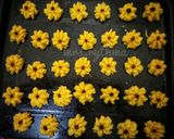 Foto langkah ke 4 dari resep Kue Semprit Klasik #BuatRamadhanBerkesan.