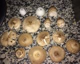 Foto del paso 1 de la receta: Gurumelos al whisky