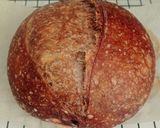 Foto langkah ke 21 dari resep Choco Swirl Sourdough Bread (Open Bake Method).