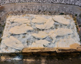 Foto del paso 6 de la receta: Lasagna de espinaca y salsa blanca