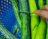 चेट्टिनाड मसाले के भरवा चिचिण्डा रेसिपी चरण 1 फोटो