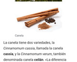 Foto del paso 1 de la receta: Duraznos tibios y cremosos a la canela de Ceylan (Cinnamomum verum) 🇱🇰