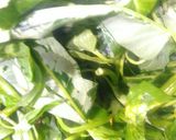 Foto langkah ke 5 dari resep Tumis kangkung teri gundul.