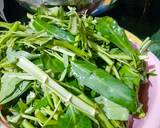 Cah Kangkung