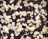 Foto langkah ke 16 dari resep Avocado Brownies #browniesalpukat.