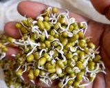 A picture of step 1 of Mung bean Sprouts idli.