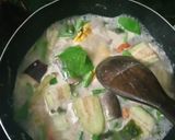 Foto langkah ke 6 dari resep Sayur Lodeh Praktis (23).