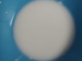 Jasuke Creamy