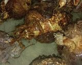 A picture of step 1 of Masala Arbi.