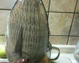 Foto del passaggio 1 della ricetta Dentice grigliato #cookpad #ciaksicucina
