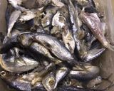Foto langkah ke 1 dari resep Ikan goreng tepung.