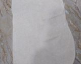 A picture of step 5 of Ring samosa.