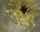 A picture of step 1 of Chappati grill sandwiches.
